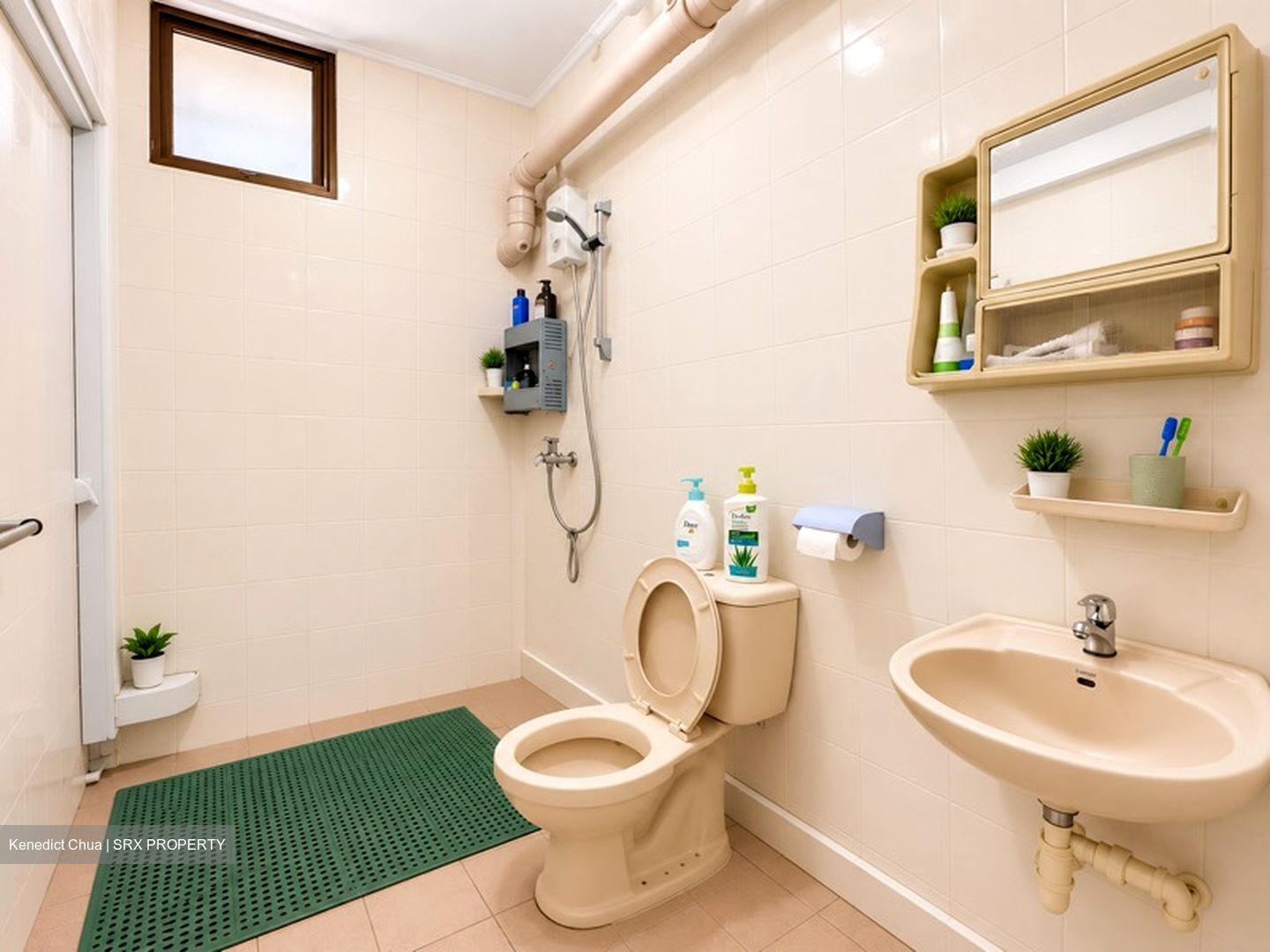 Blk 290F Spring View (Bukit Batok), HDB 4 Rooms #607971801